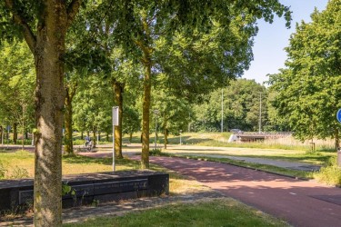 Veel groen