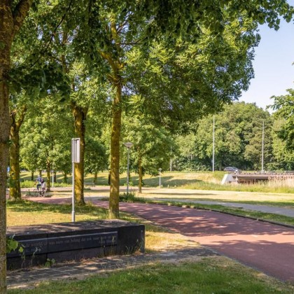 Veel groen