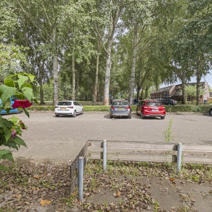 Een groene buurt