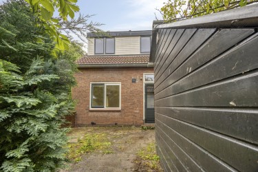 Tuin
