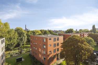 Parmentierweg2252316zrLeidenNL-27.jpg