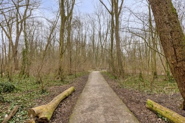 Extra foto's