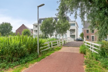 Omgeving