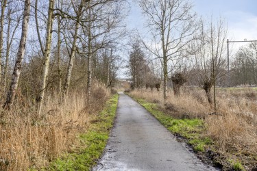 Omgeving