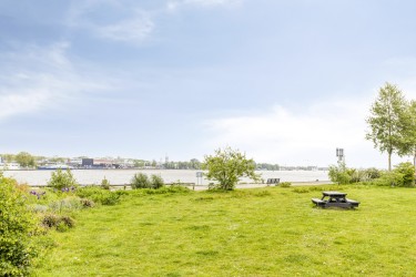 Omgeving