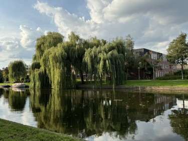 Extra foto's