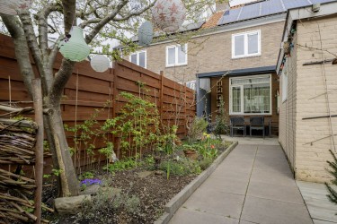 Tuin