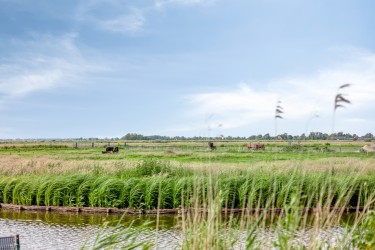 Extra foto's
