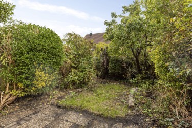 Tuin