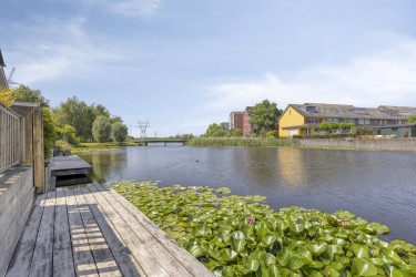 Tuin
