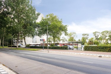 Omgeving