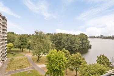 Veel groen