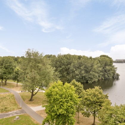 Veel groen