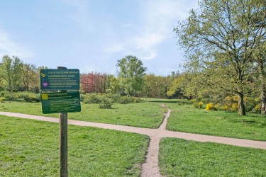 Omgeving