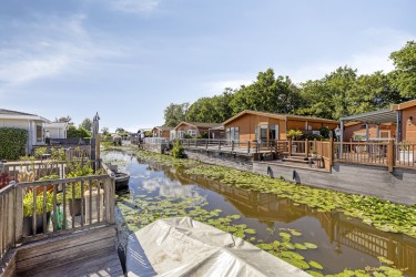Tuin