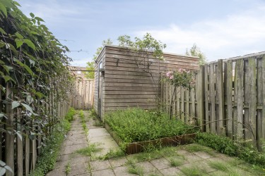 Tuin