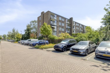 Omgeving