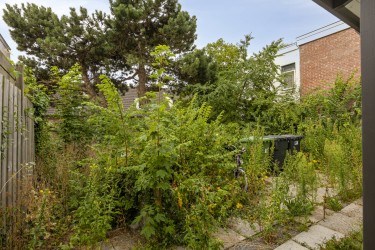 Tuin