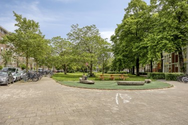 Omgeving