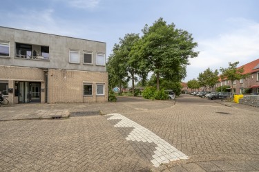 Tuin