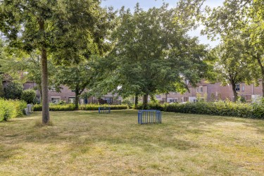 Omgeving