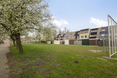 Extra foto's