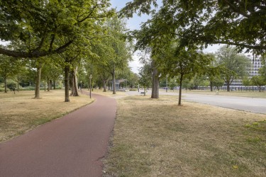 Omgeving