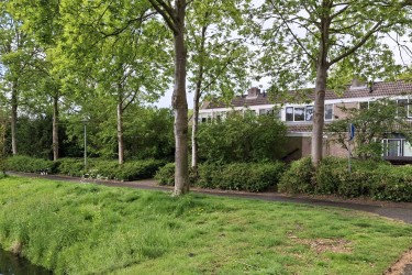 Omgeving