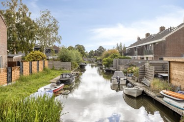 Omgeving