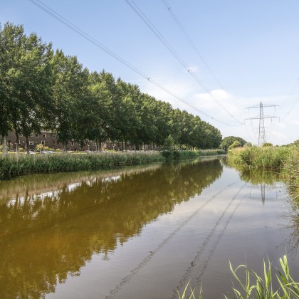 Veel groen