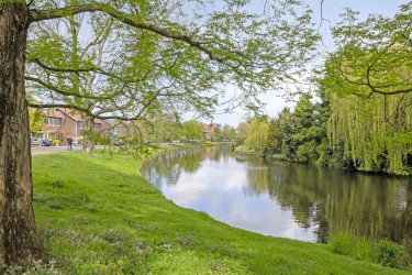 Omgeving