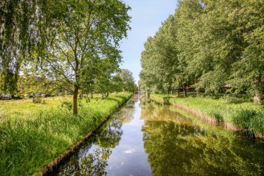 Tuin