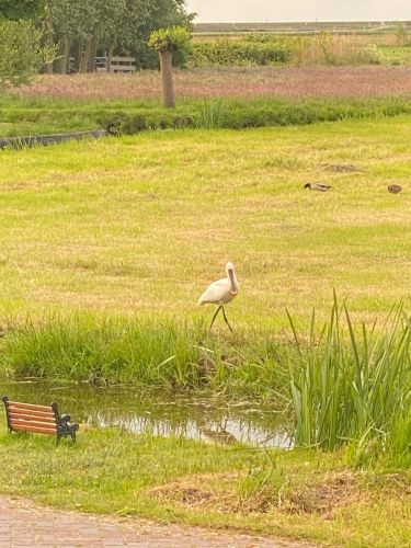 Extra foto's