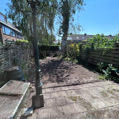 Zonnige tuin