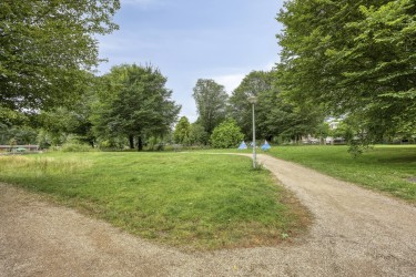 Omgeving