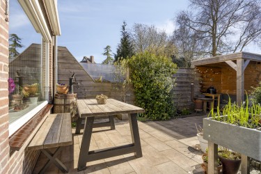 Zonnige tuin