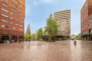 Omgeving