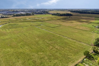 Omgeving