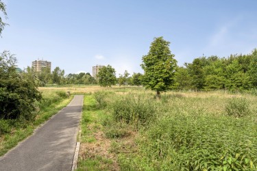 Omgeving