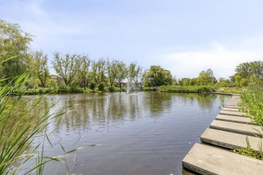 Omgeving