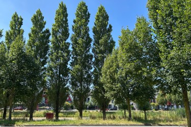 Extra foto's