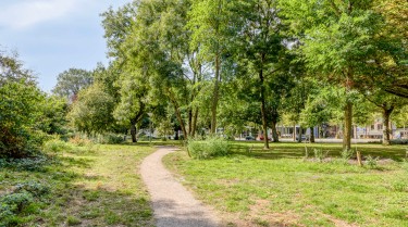 Omgeving