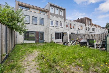 Tuin