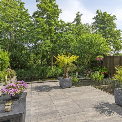 Zonnige tuin