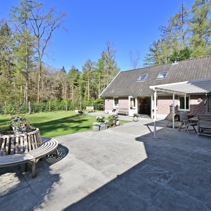 Grote tuin