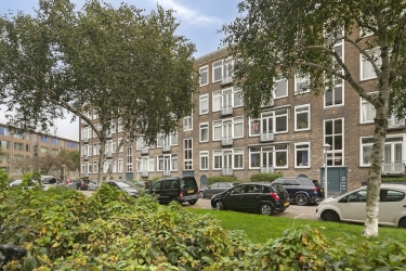 Fijne omgeving