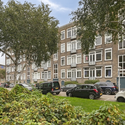 Fijne omgeving