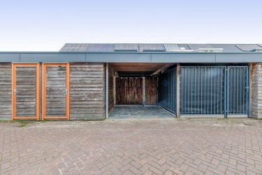Tuin