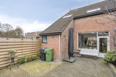 Tuin