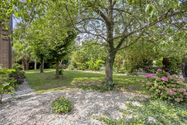 Tuin